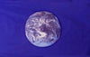 Earth Day Flag
