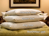 Various sizes of EcoChoices chemical free wool filled pillows available