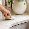 Full Circle Scrubber Sponge