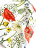 Nature's Dance - Organic Cotton Red Poppies - Kitchen Towel