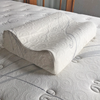 Organic Latex Contour Pillow
