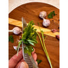 Close-up of garlic press and herb-stripper openings