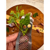 Herb stripper for removing thyme and rosemary leaves from stems