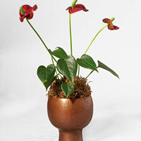 Hand-hammered Copper Cachepot Planter 4.5x3.25