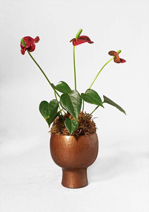 Hand-hammered Copper Cachepot Planter 4.5x3.25