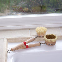 Tampico Kitchen Brush - Vegetable & Dish, and Pots & Pans Options