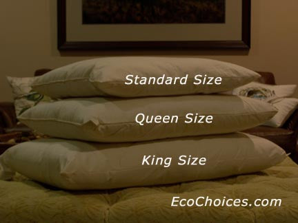 https://ecochoices.com/cdn/shop/products/ec-pillow-sizes2-2013_1024x.jpg?v=1567405737