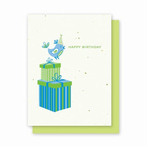 Grow A Note - Happy Birthday Blue Bird Cards - green envelopes - set of 4 cards