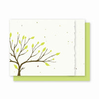 Grow A Note All Occasion Tree With Deckled Edge Cards - green envelopes - pack of 4 cards
