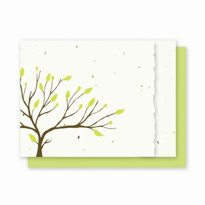 Grow A Note All Occasion Tree With Deckled Edge Cards - green envelopes - pack of 4 cards