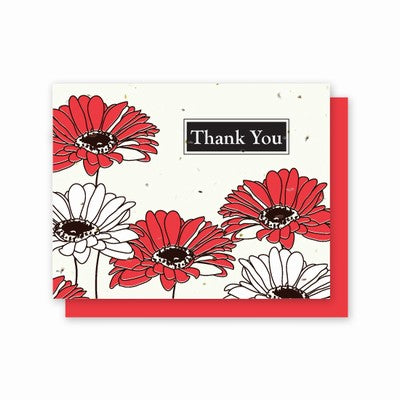 Grow A Note Just -Gerber Daisy Thank You Blank Cards - red envelopes - pack of 5 cards