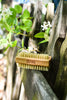 Natural Nail Brush