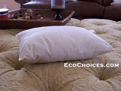 https://ecochoices.com/cdn/shop/products/v-pillow-boudoir-travel_1024x.jpg?v=1616616072